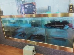 水产区-一品鱼悦·烤鱼(海亮广场店)