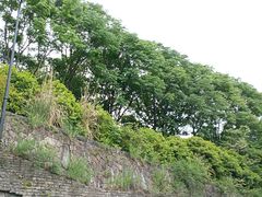 -西湖风景区-江洋畈生态公园