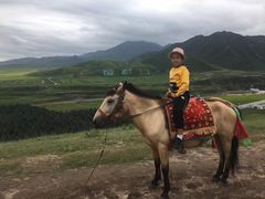 -扁都口生态休闲旅游区