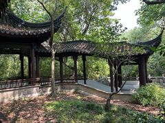 -上海佘山国家森林公园天马山园