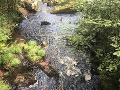 -汤旺河林海奇石景区