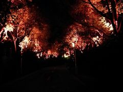 -湖州太湖旅游度假区-月亮广场