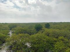 -北海金海湾红树林生态旅游区