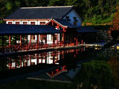 -鲁山国家森林公园