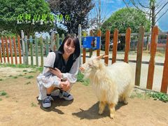 -云漫湖生态度假公园