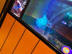 -星聚会KTV(苏州尹山湖歌林公园店)