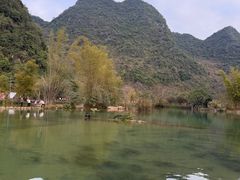 -靖西鹅泉风景区