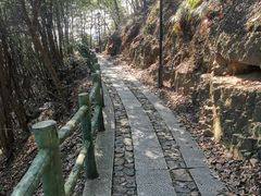 -华溪森林公园-售票处