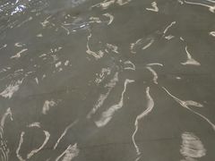 -南宫温泉水世界