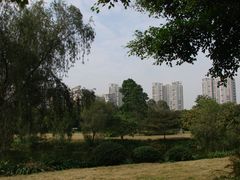 景点-南沙蒲洲花园