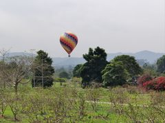 -中国科学院西双版纳热带植物园