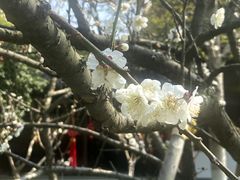 -钱王祠