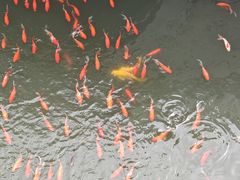 -北京市劳动人民文化宫(太庙)