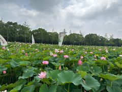 -嘉北郊野公园