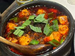 -陈麻婆豆腐(旗舰店)