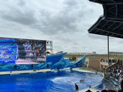 -上海海昌海洋公园
