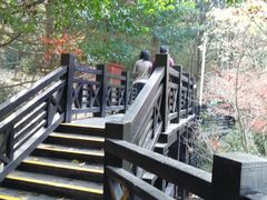-白马涧龙池景区