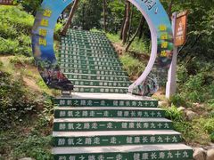 -沂蒙山旅游区云蒙景区(蒙山国家森林公园)