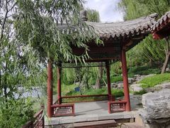 -北坞公园