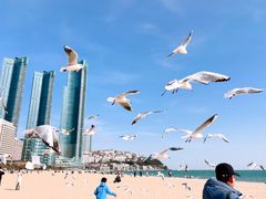 -海云台海滩