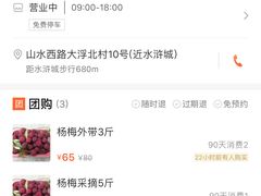 -西山樟坞健康果园枇杷杨梅采摘