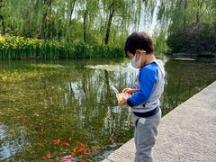 -习家池