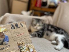 -小时光咖啡馆(开森度假森林店)