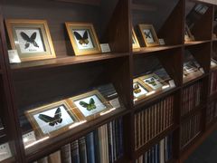 -上海大自然野生昆虫馆(东方明珠·爬宠昆虫探索中心)