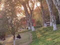 -龟山风景区-龟山电视塔