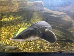 -泉州海丝野生动物世界