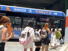 -帕帕拉兹宠物(亚洲旗舰店)