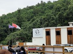 -枫露马术学院(藏书校区)
