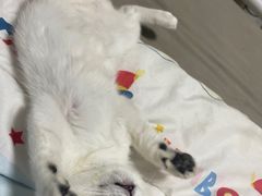 -酷狗靓猫宠物·洗护·美容·寄养(航北路店)