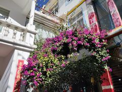 -尼玛藏家风味园(阿山食城店)