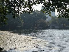 -荔湾湖公园