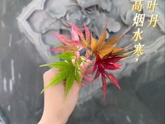 -宫七SPA·高端Massage(浦东大道店)