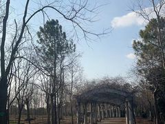 -上海海湾国家森林公园