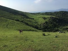 -大姆山草场