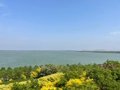 -天津东丽湖风景区