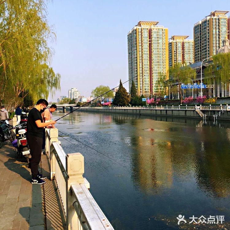 北京绿道，顾名思义，北京的绿色道路。不去深究其定义