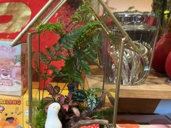 -弗劳尔花艺坊(龙涛店)