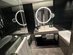 -新加坡乌节希尔顿酒店 (SG Clean)
