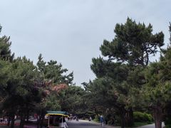 -北陵公园