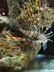 -Zoolung Zoolung动物主题公园(海信广场店)