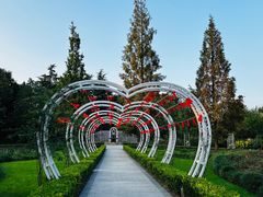 -昆山城市生态森林公园