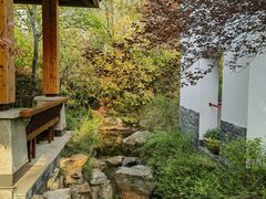 -深业半汤御泉庄温泉