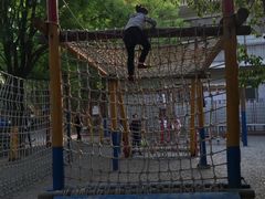 -渭滨公园