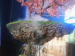-1718海鲜姿造(苏宁宴请臻选店)