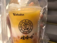 -娃哈哈·奶茶(武林店)
