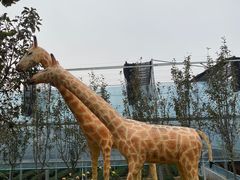 -济南马套将军山